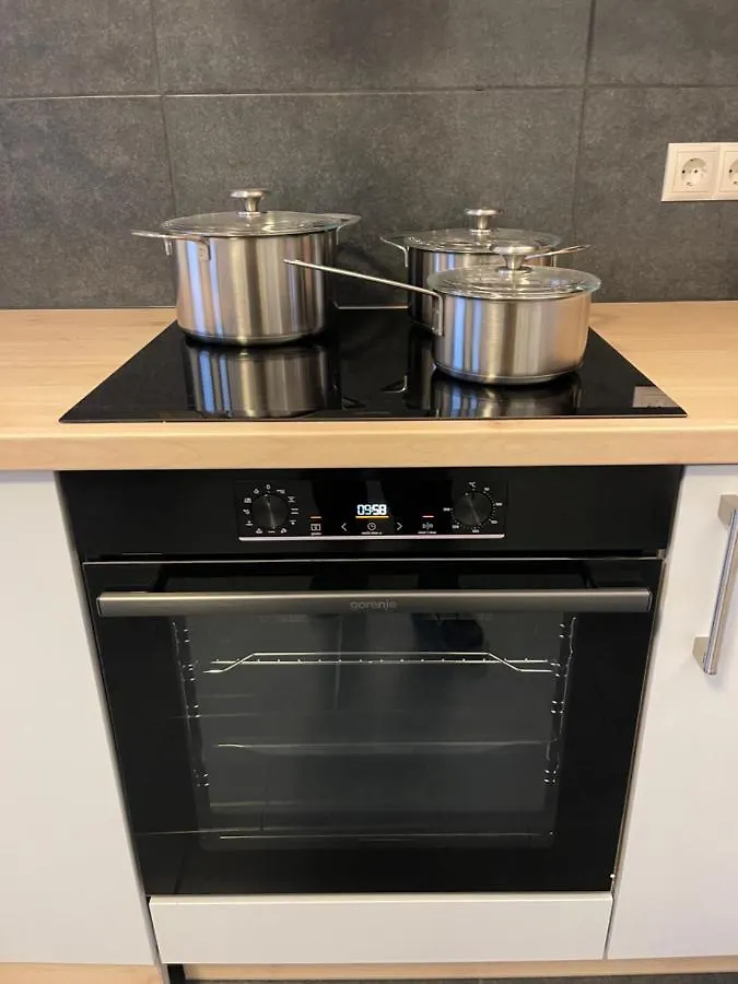 Fancy Apartment In The City Center Vienna 0*,  Austria